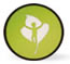 Integrativ Healing Dynamics logo